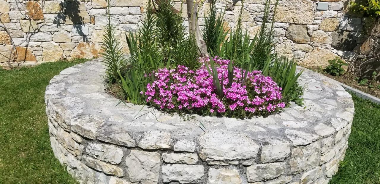 Country House Bubullime Albania Lushnje Ngoại thất bức ảnh