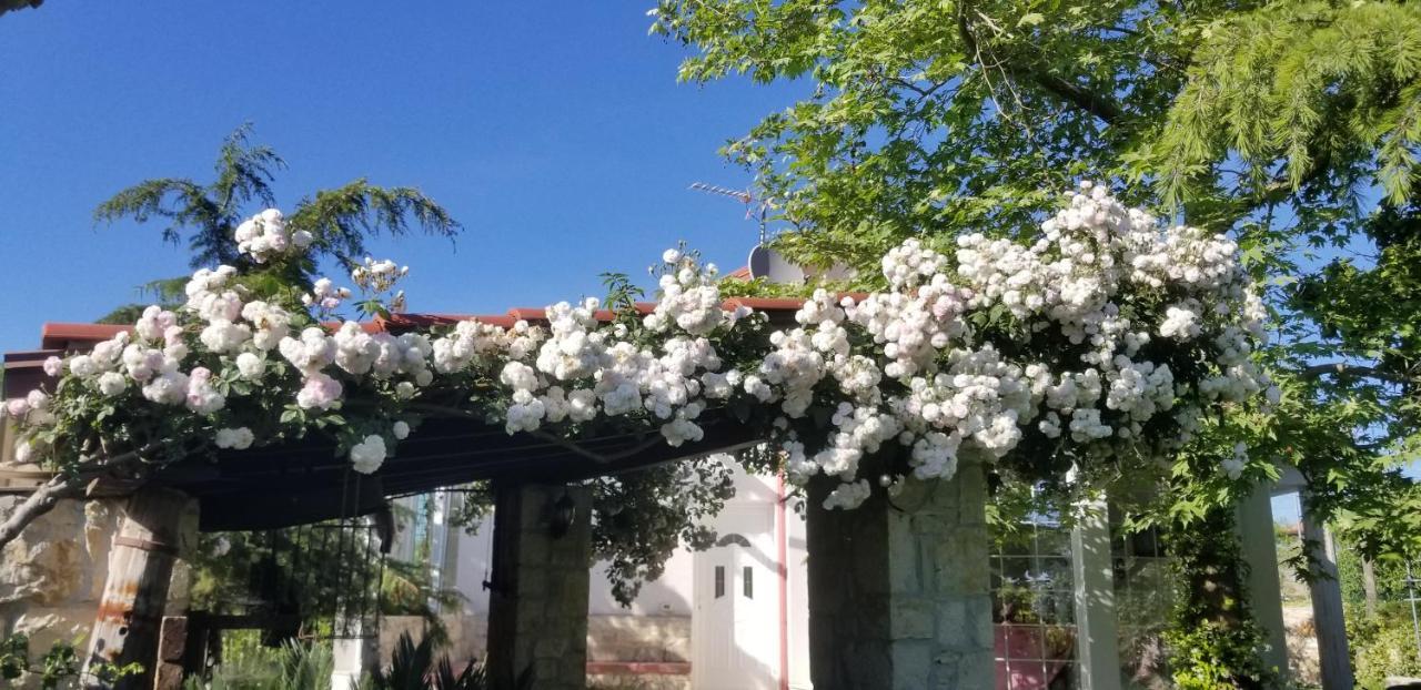 Country House Bubullime Albania Lushnje Ngoại thất bức ảnh