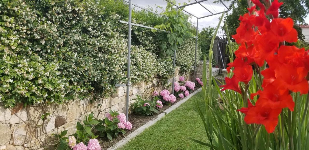 Country House Bubullime Albania Lushnje Ngoại thất bức ảnh