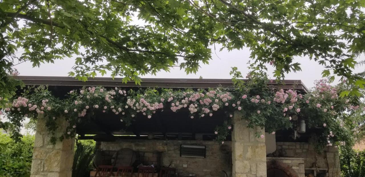 Country House Bubullime Albania Lushnje Ngoại thất bức ảnh
